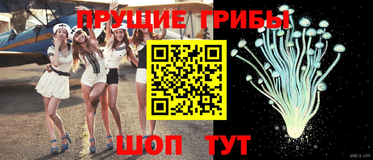Псков  купить закладку  Галлюциногенные грибы GOLDEN TEACHER  Вход с VPN  Галлюциногенные грибы Psilocybe 